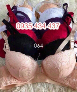 Áo ngực Sister Hood